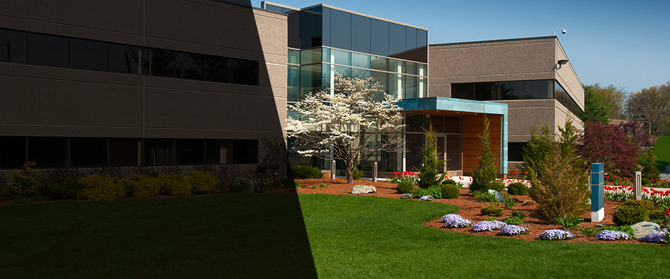 Dodge Center Landscapers