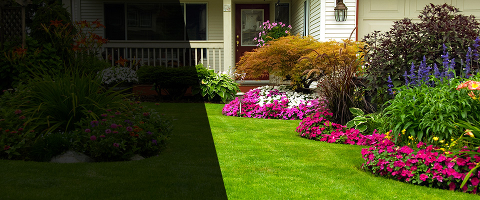 Dodge Center Landscapers
