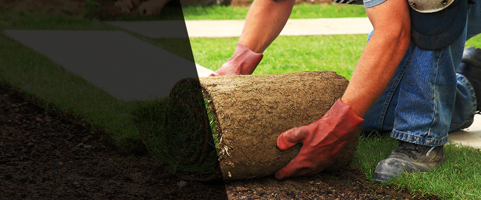 Dodge Center Landscapers